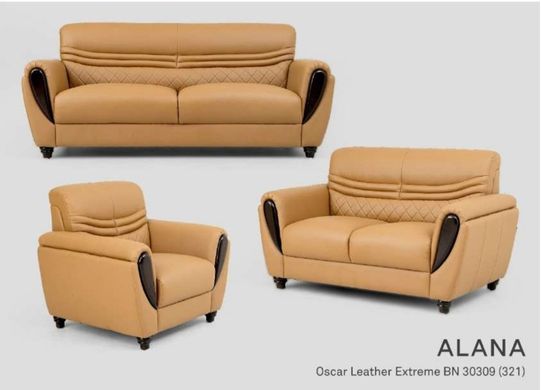 sofa 221 untuk apartemen
